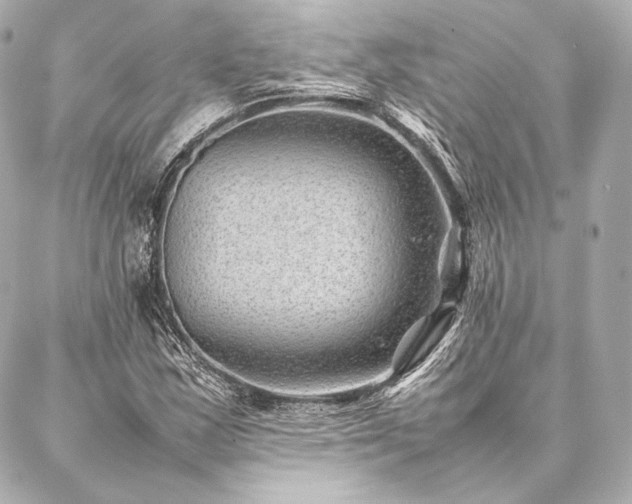 X0000086971163200704231508