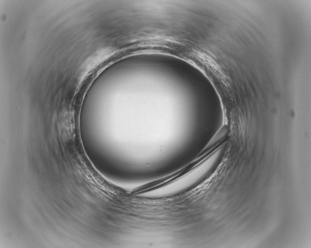 X0000086971164200704231508