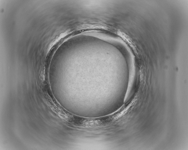 X0000086971165200704231508