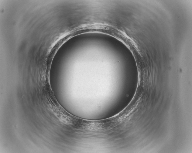 X0000086971166200704231508