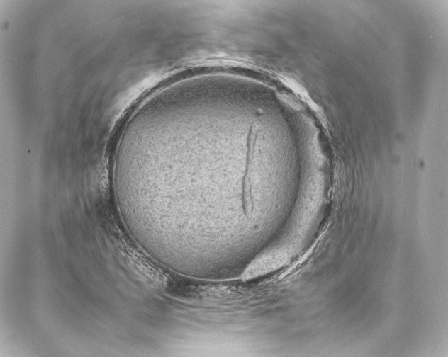 X0000086971167200704231508