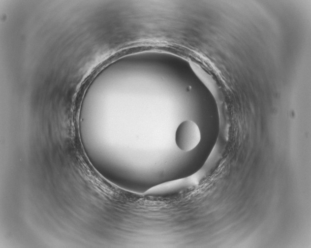 X0000086971168200704231508