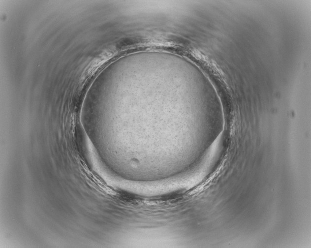 X0000086971169200704231508