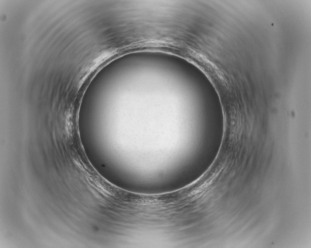 X0000086971170200704231508