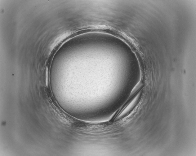 X0000086971171200704231508