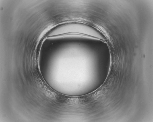 X0000086971172200704231508