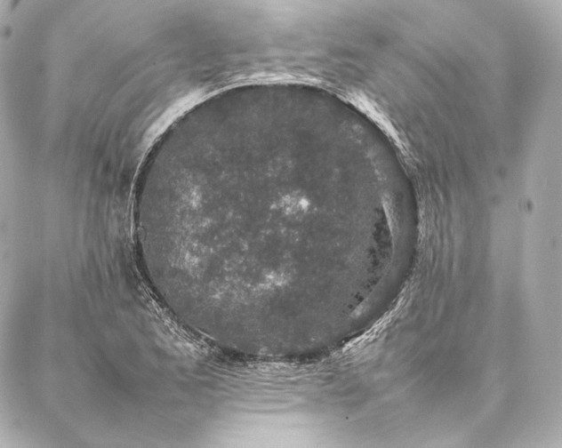 X0000086971173200704231508