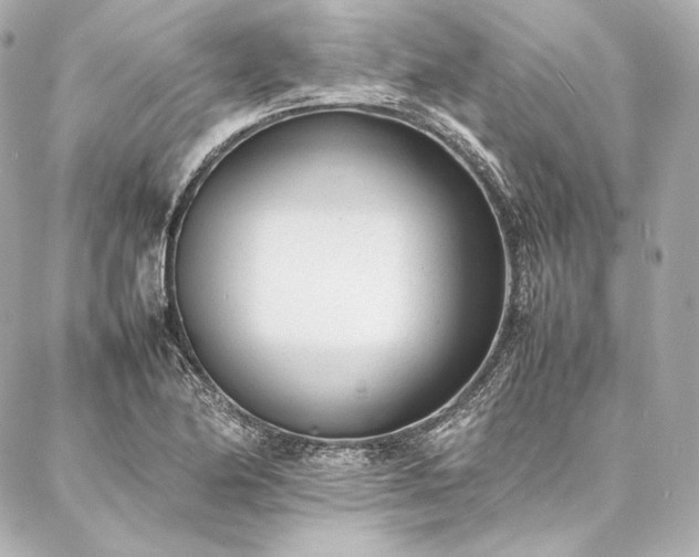 X0000086971174200704231508