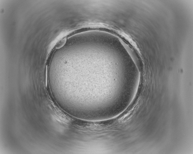 X0000086971175200704231508