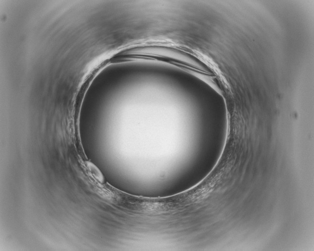 X0000086971176200704231508