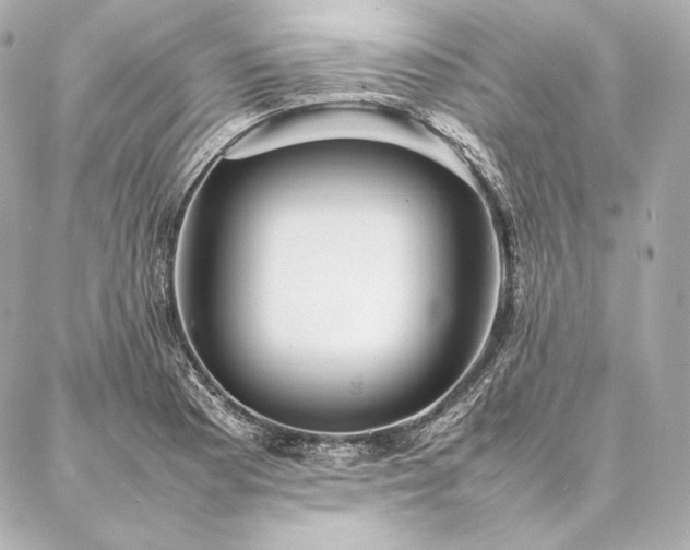 X0000086971177200704231508