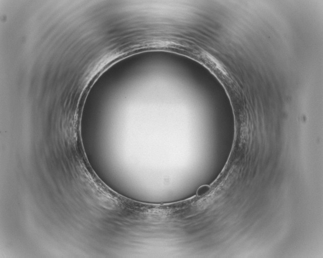 X0000086971178200704231508