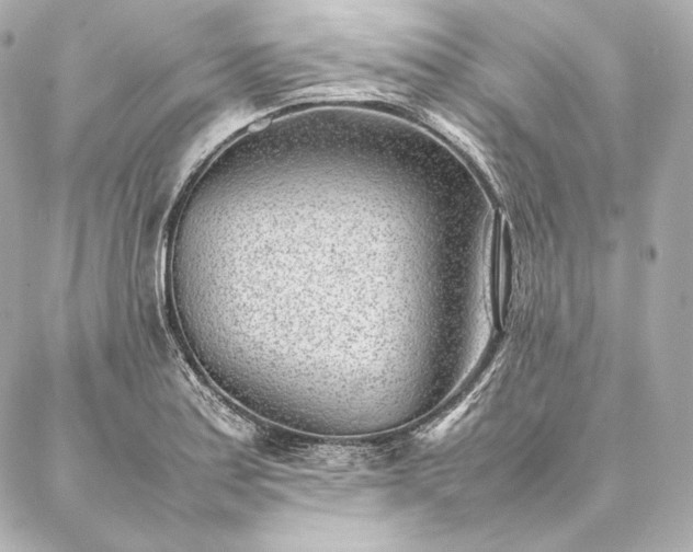 X0000086971179200704231508