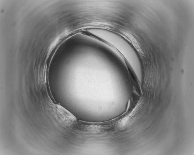 X0000086971180200704231508