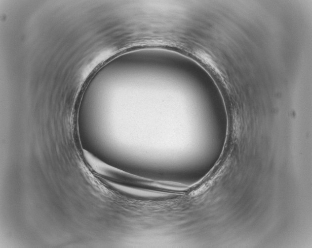 X0000086971181200704231508