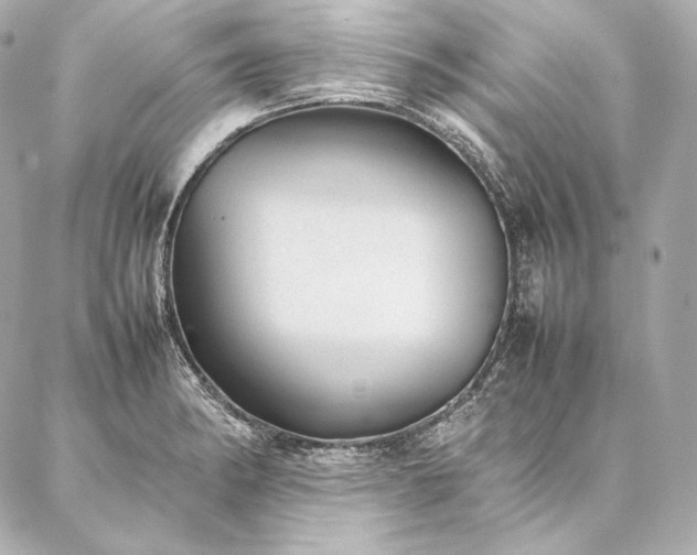 X0000086971182200704231508