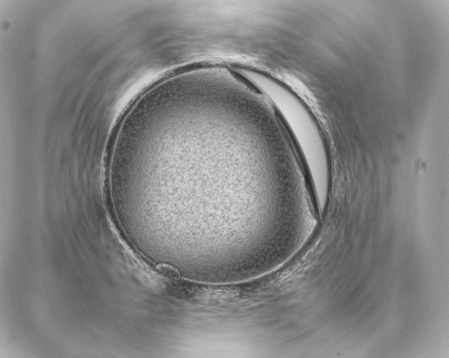 X0000086971183200704231508