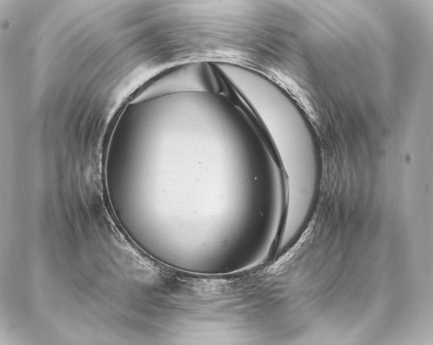 X0000086971184200704231508