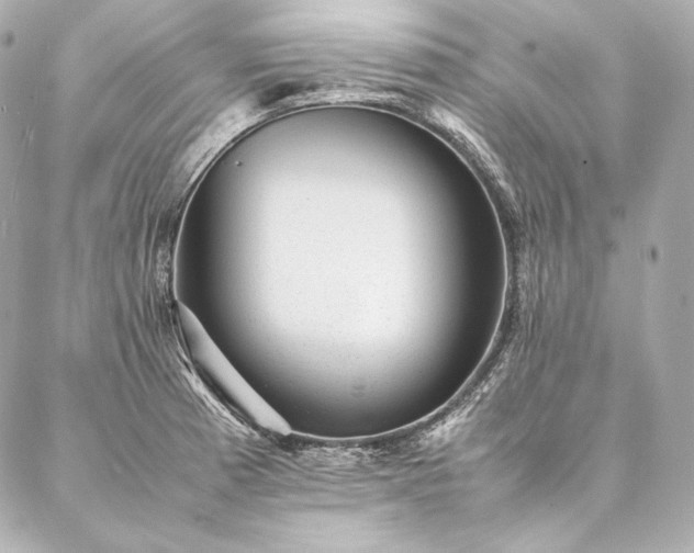 X0000086971185200704231508