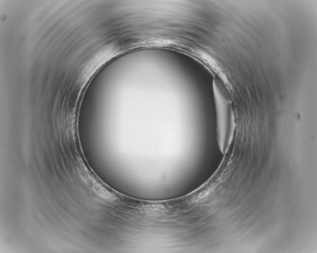 X0000086971186200704231508