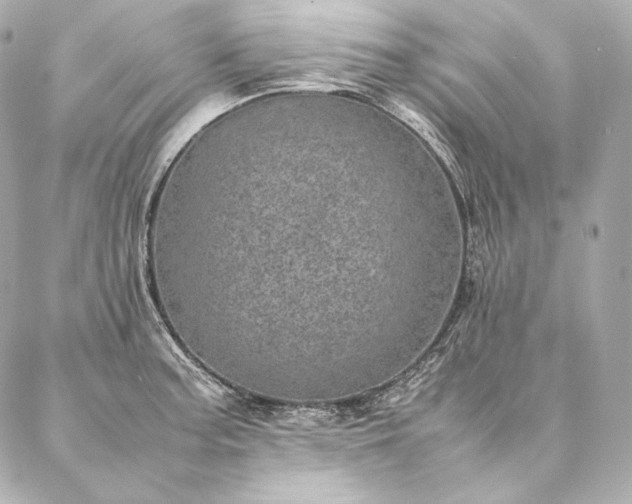 X0000086971187200704231508