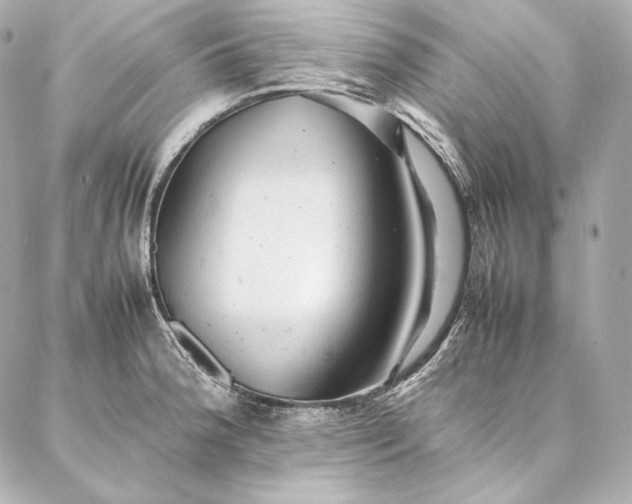 X0000086971188200704231508