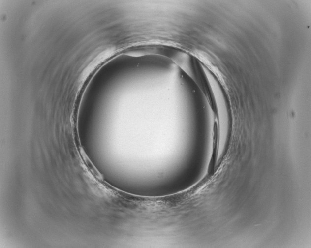 X0000086971189200704231508