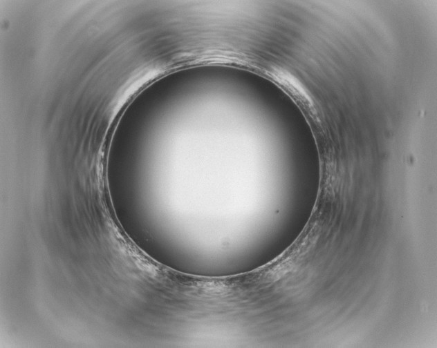 X0000086971190200704231508