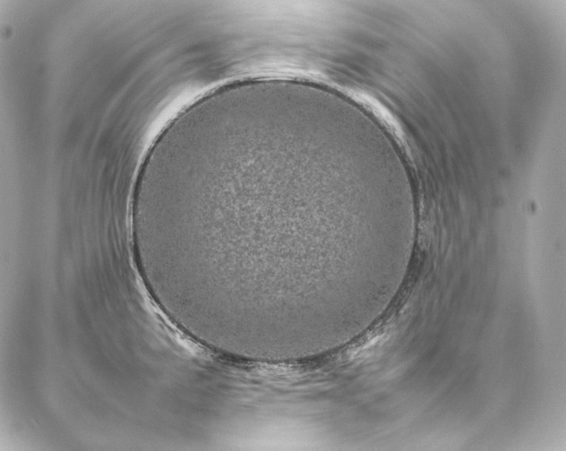 X0000086971191200704231508