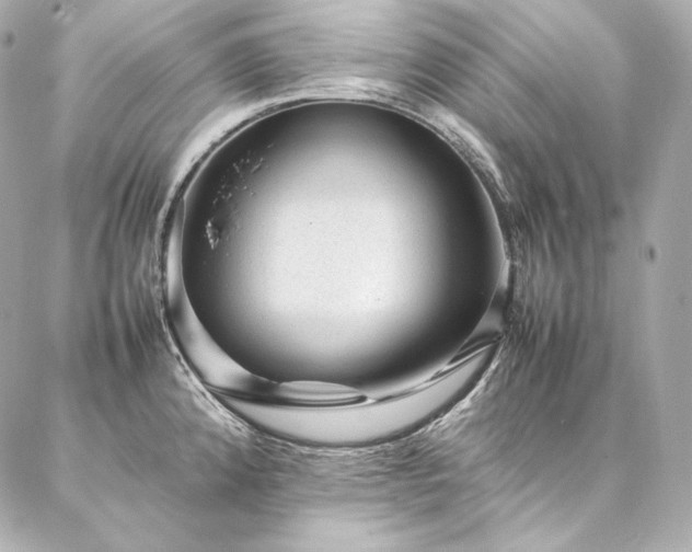 X0000086971192200704231508