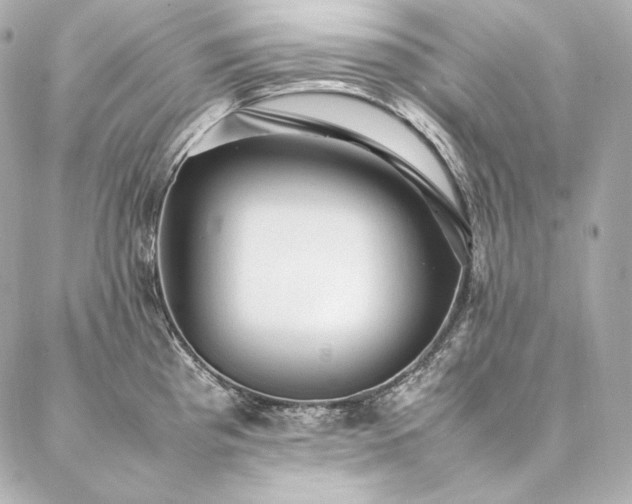 X0000086971193200704231508