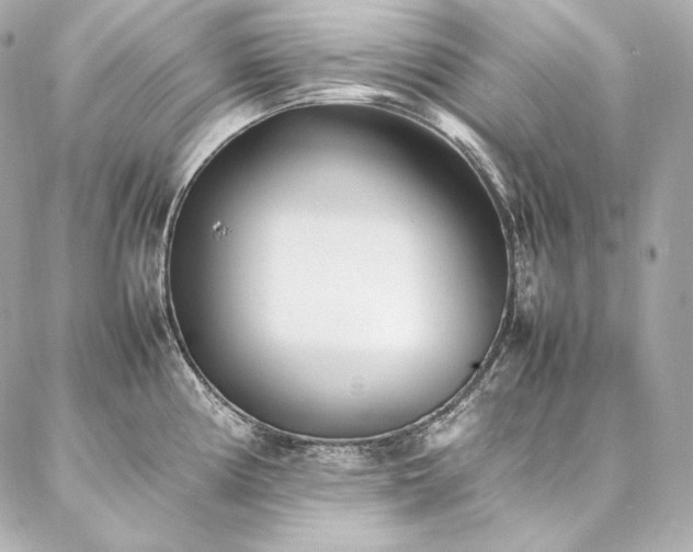 X0000086971194200704231508