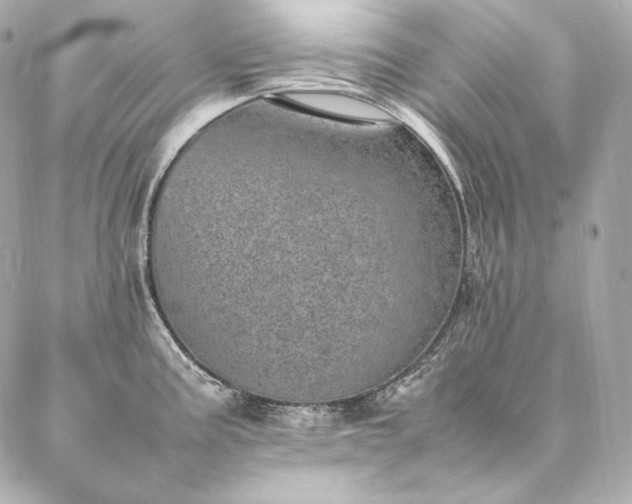 X0000086971195200704231508