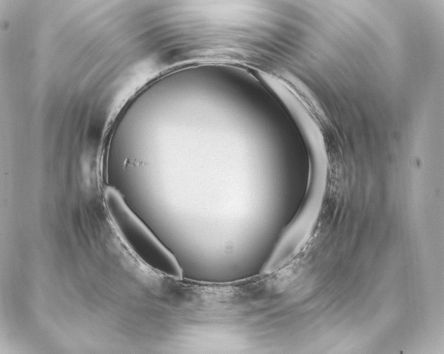 X0000086971196200704231508