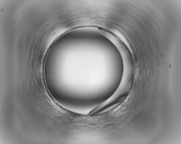 X0000086971197200704231508