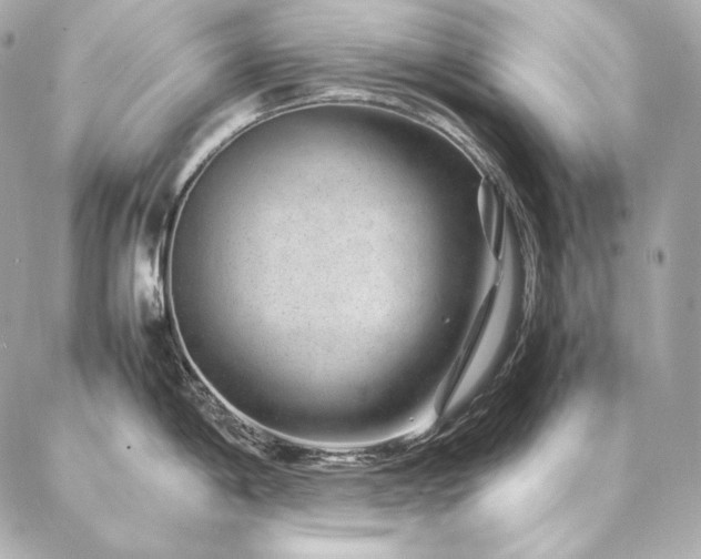 X0000086971198200704231508