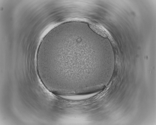 X0000086971199200704231508