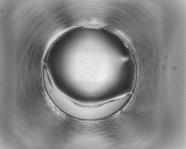 X0000086971200200704231508