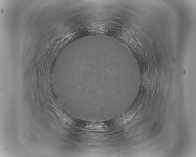 X0000086971201200704231507