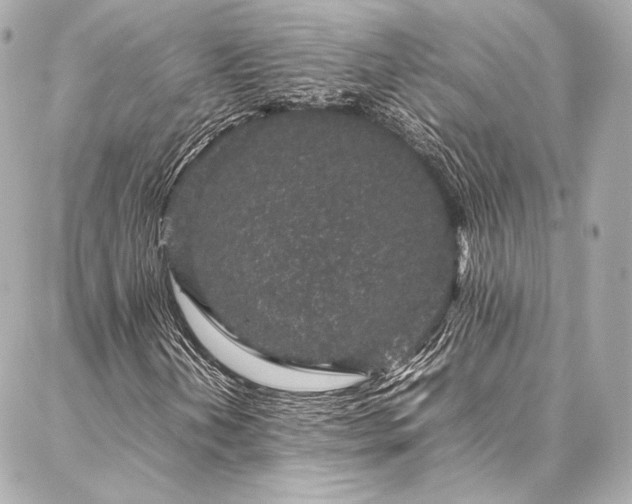 X0000086971202200704231507