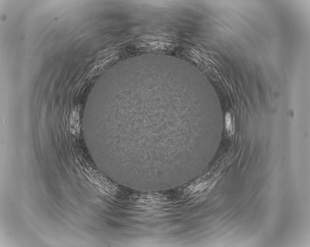 X0000086971203200704231507