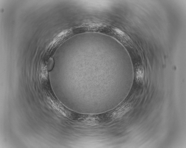 X0000086971204200704231507