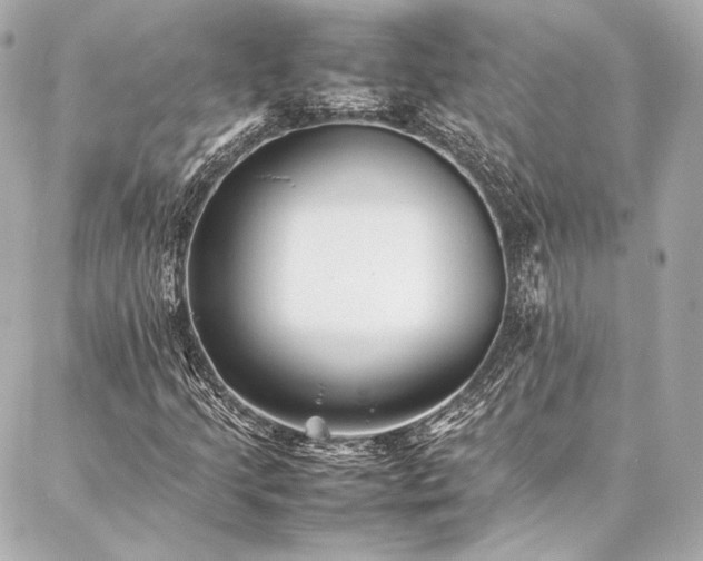 X0000086971205200704231507