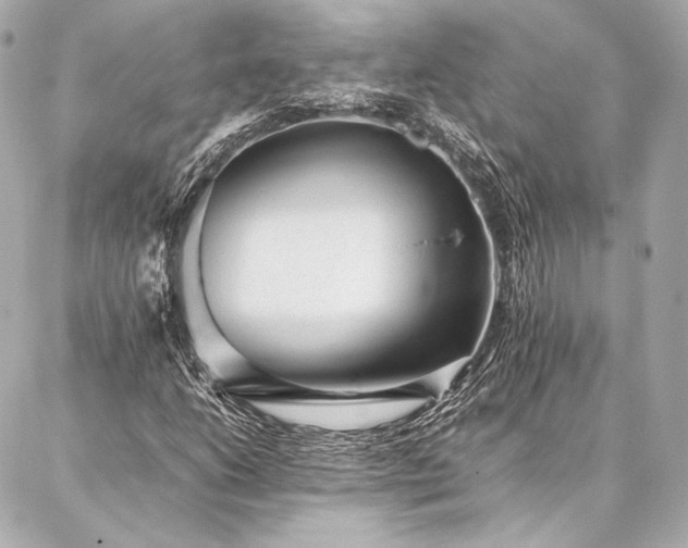 X0000086971206200704231507