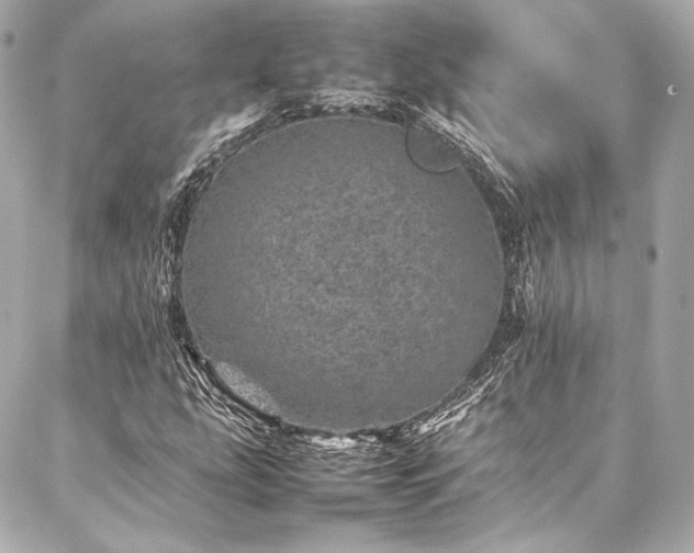 X0000086971207200704231507