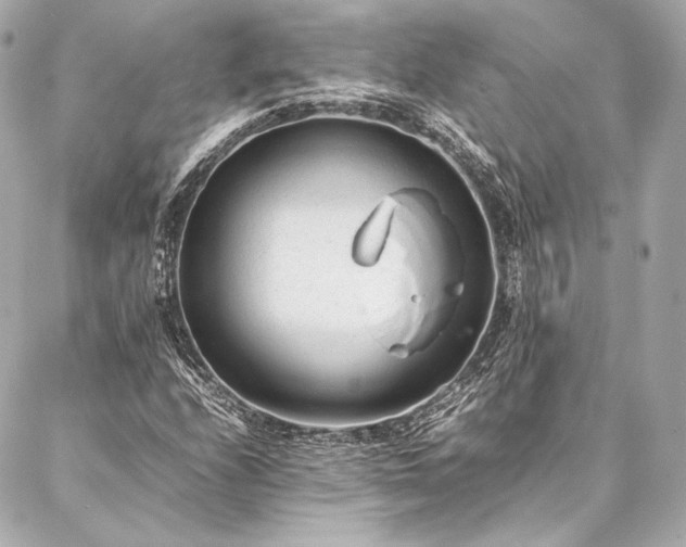 X0000086971208200704231507