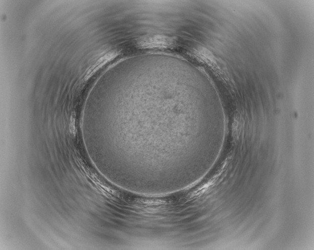 X0000086971209200704231507