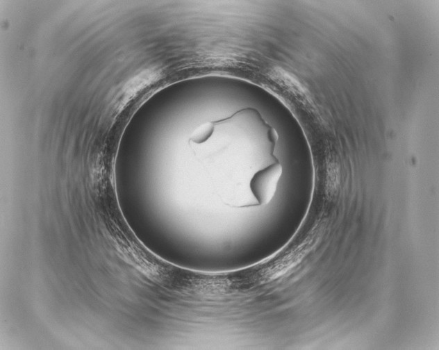 X0000086971210200704231507