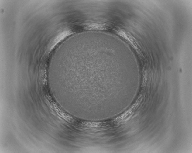 X0000086971211200704231507