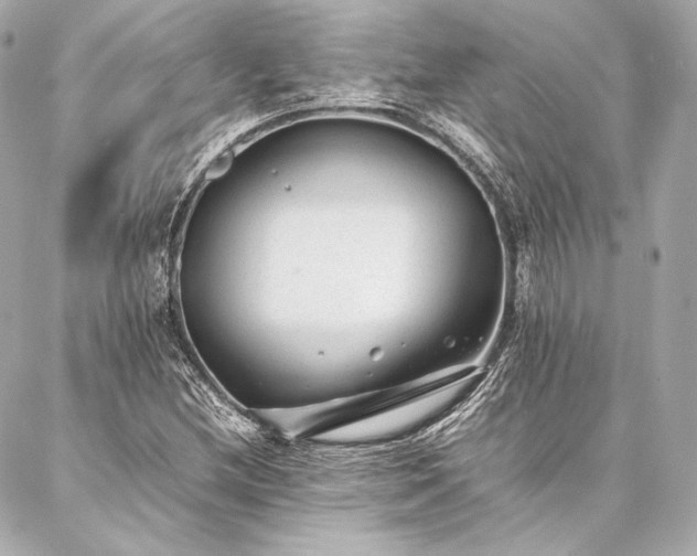 X0000086971212200704231507